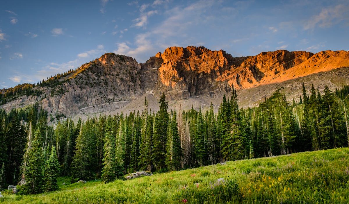 healthiest city in colorado