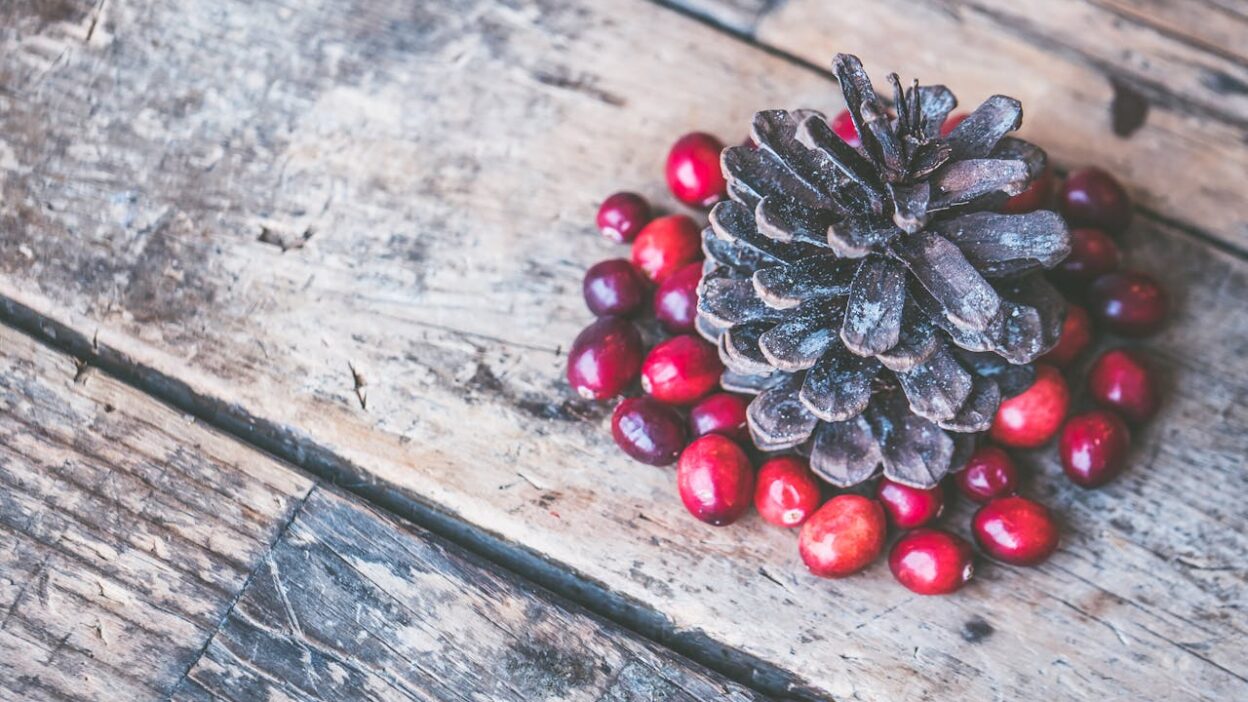 what state produces the most cranberries