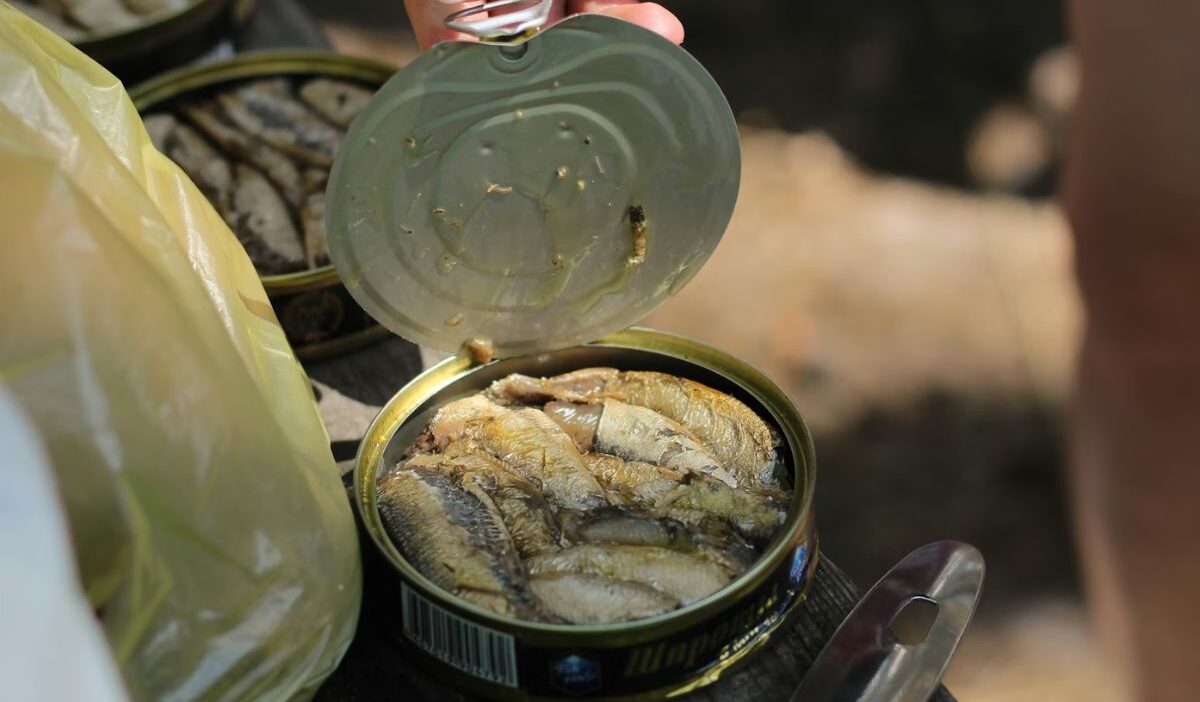 is canned tuna healthy