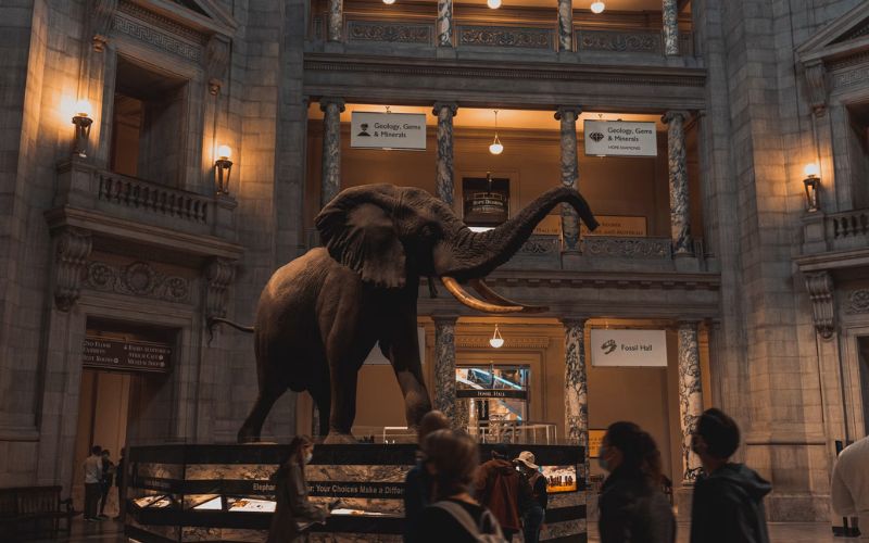 are the museums free in washington dc
