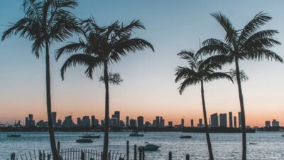 free things to do in orlando florida
